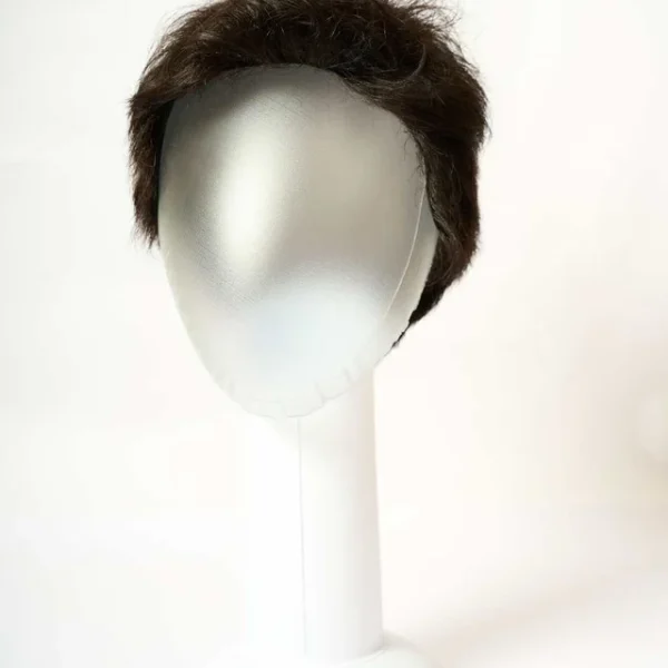 Full Head Men Wig - Human Hair