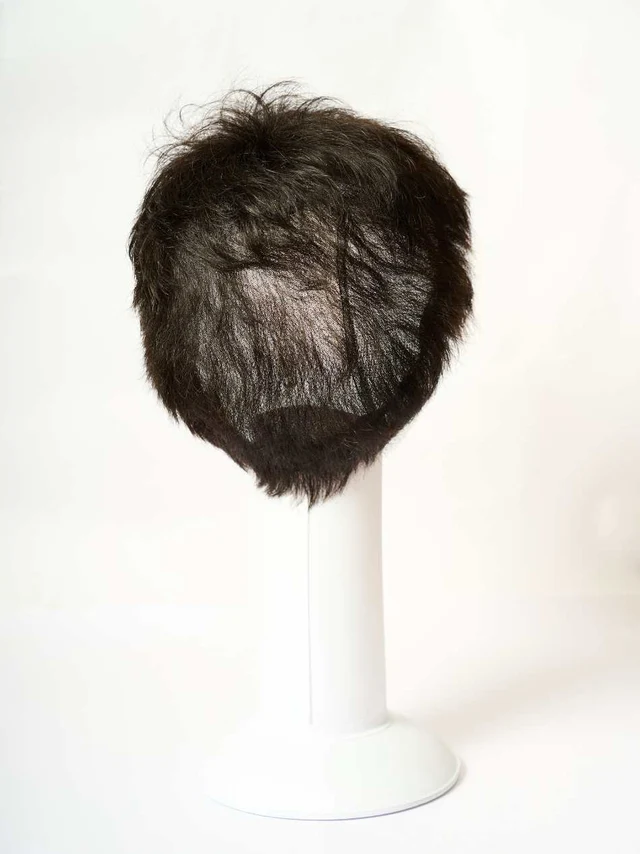 Full Head Men Wig - Human Hair - Image 2